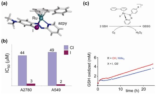 Figure 23