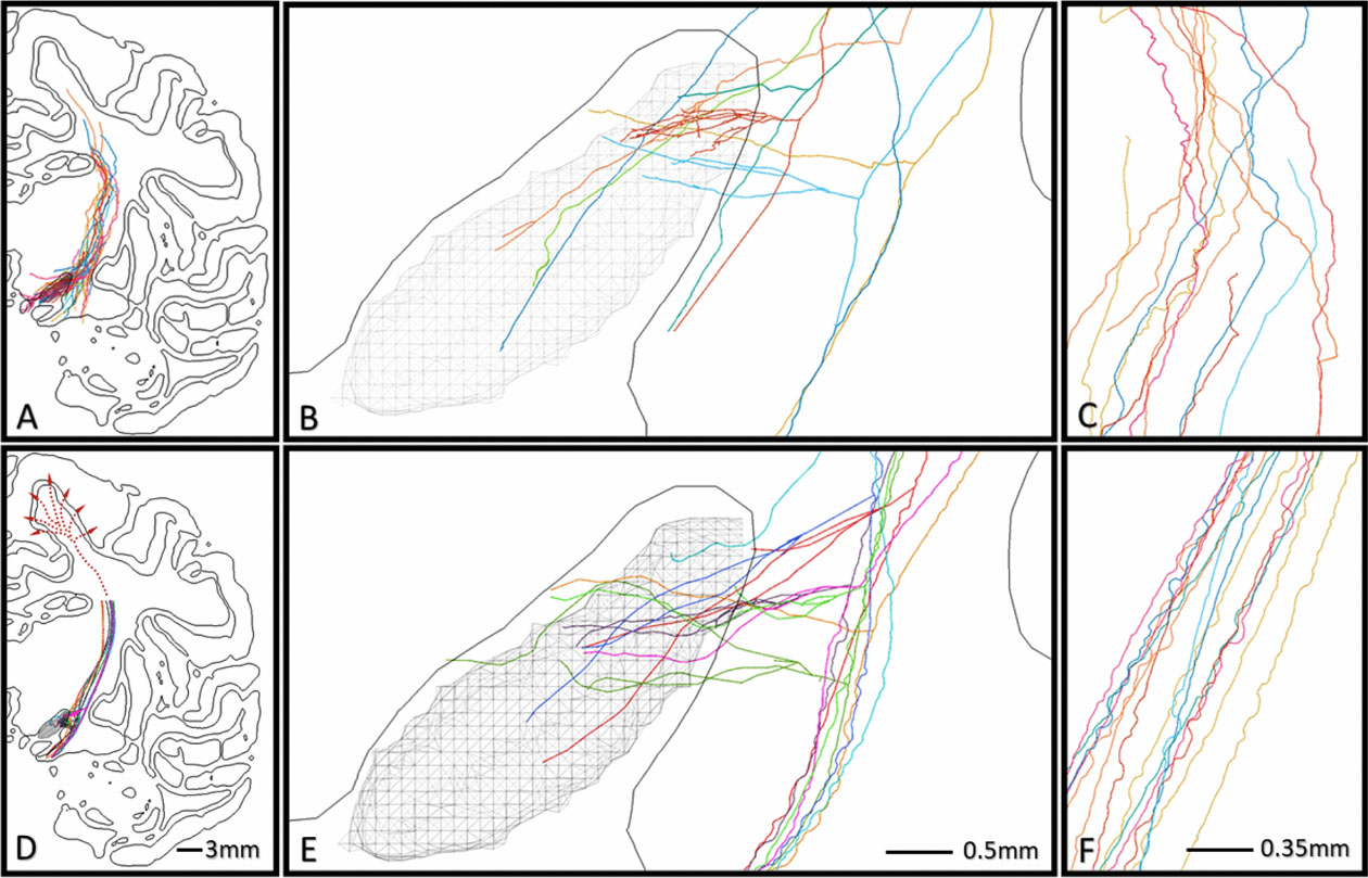 Figure 7.