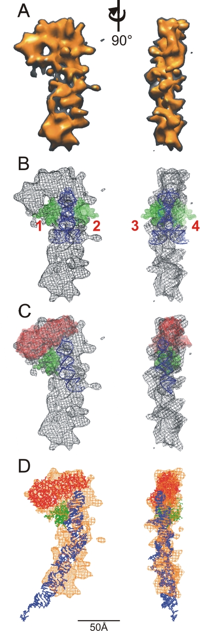 Figure 2.