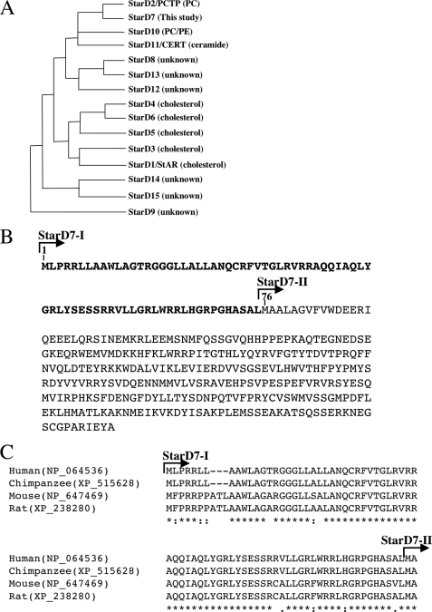 FIGURE 1.