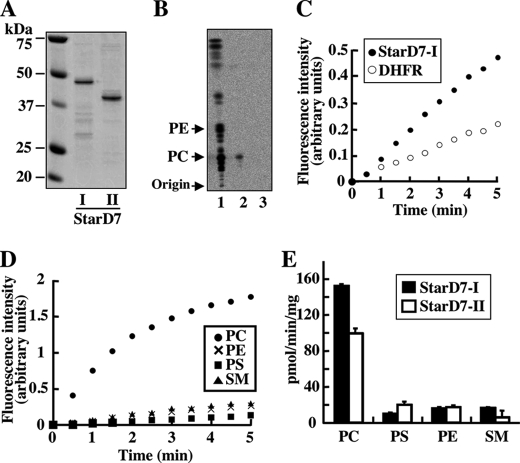 FIGURE 4.