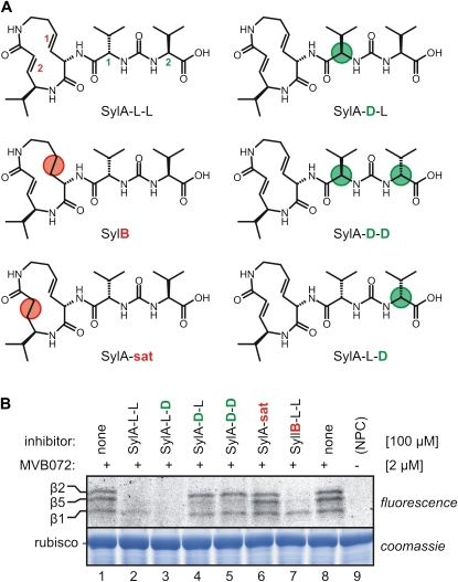 Figure 4.