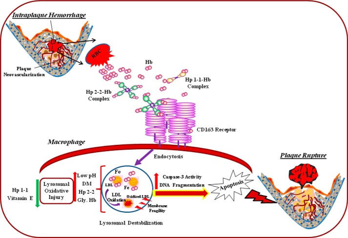 FIGURE 11.