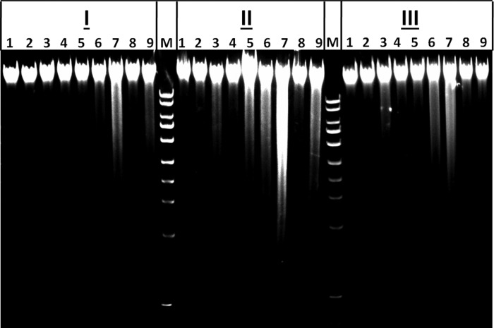 FIGURE 10.