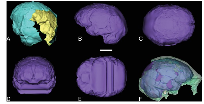 Figure 38.