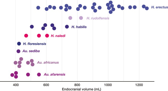 Figure 33.