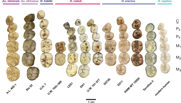 Figure 12.