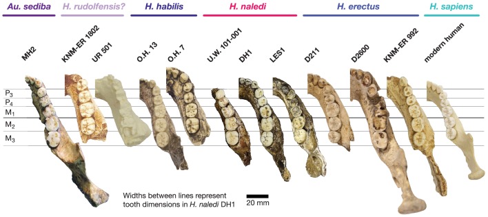 Figure 10.