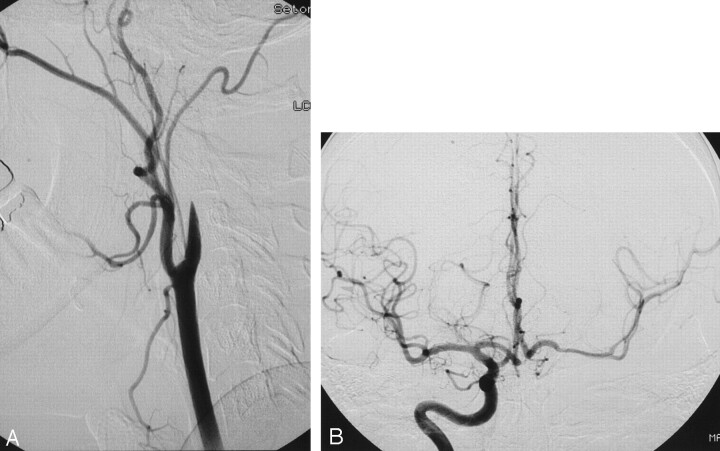 Fig 1.