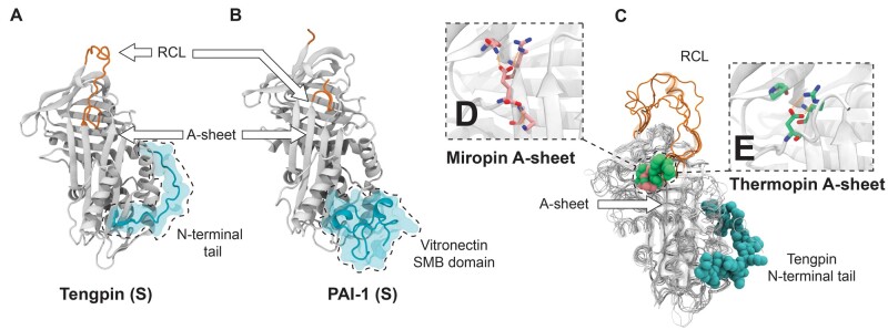 
Fig. 5.