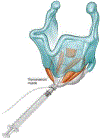 Figure 10.