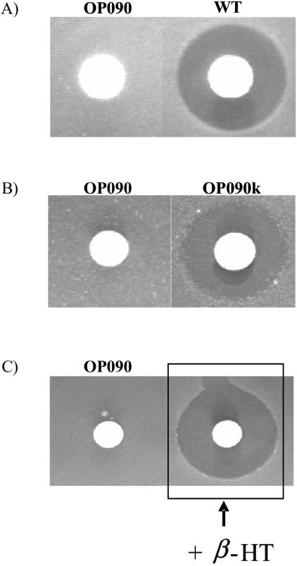 FIG. 4.