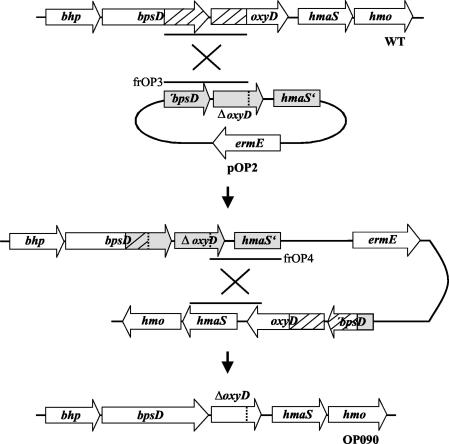 FIG. 3.