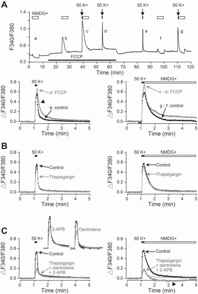 Fig. 7.