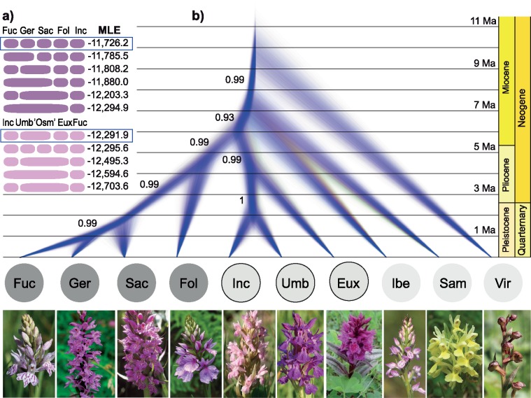 Figure 4.