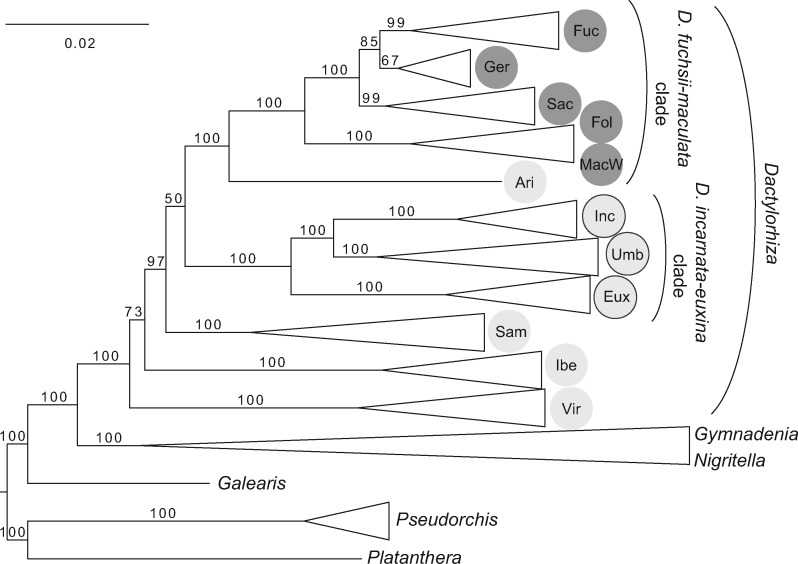 Figure 3.