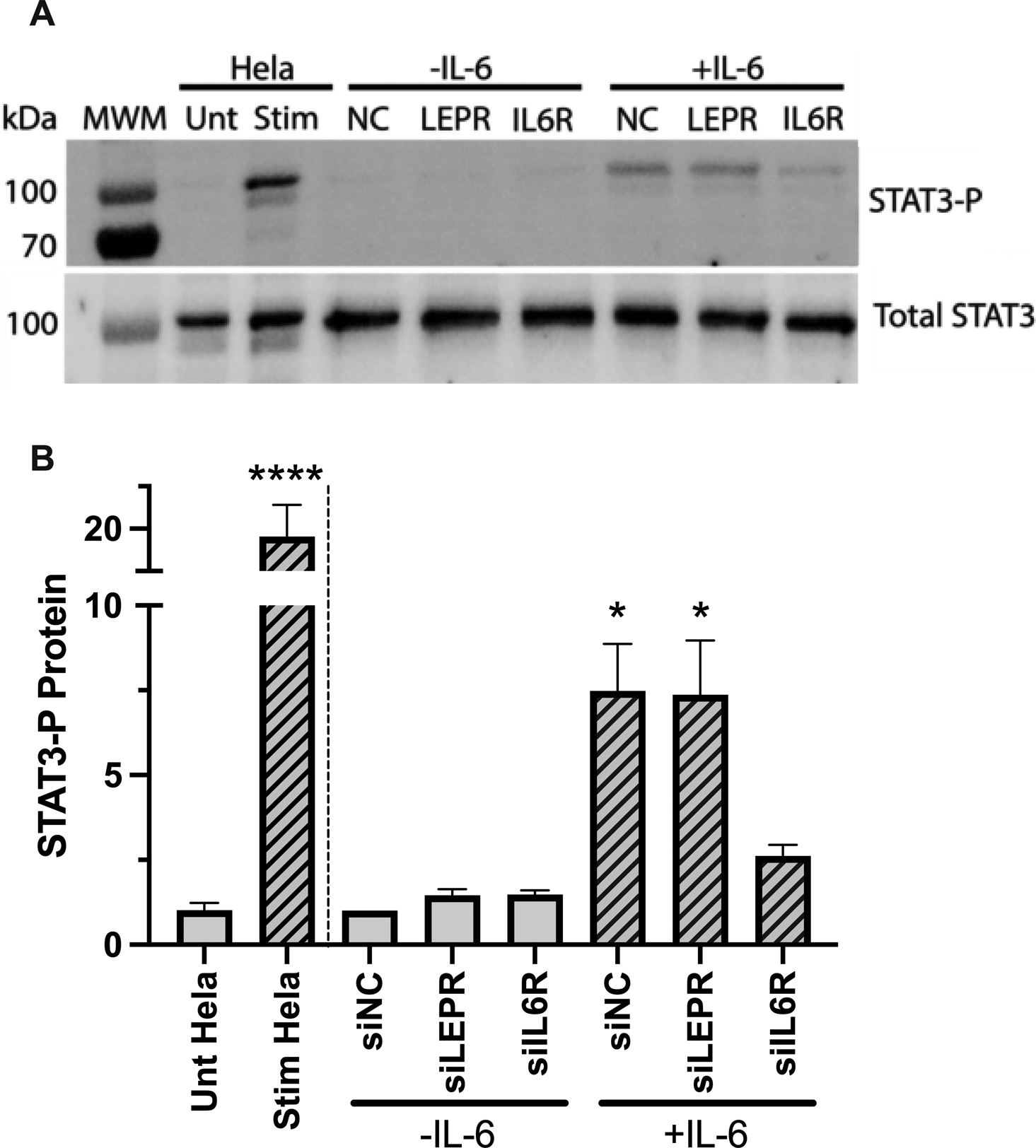 Figure 6.