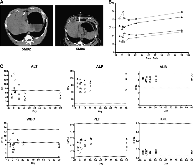 FIG. 6.