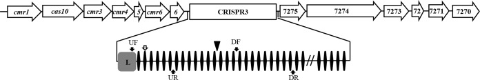 FIG 2