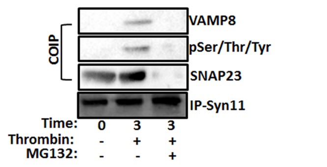 Fig 7