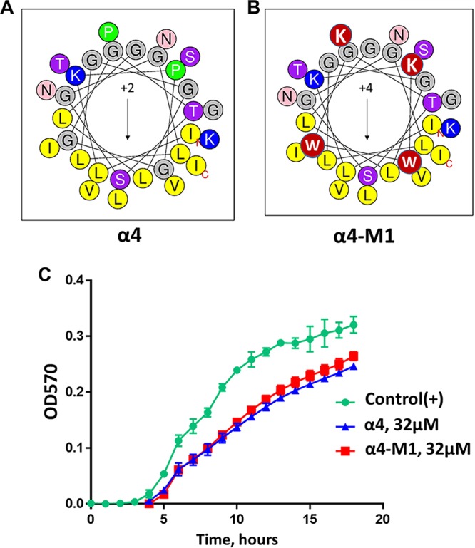 FIG 1