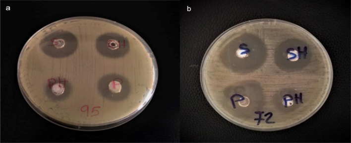 Figure 7.