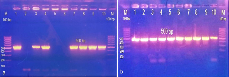 Figure 10.