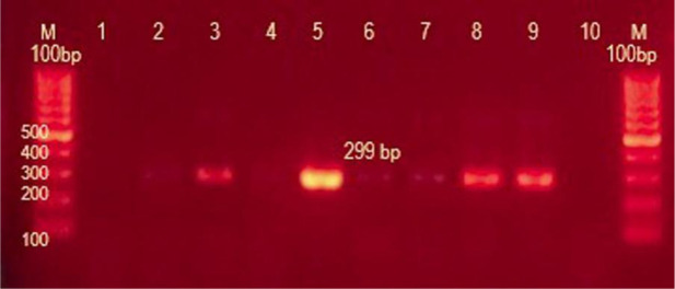 Figure 11.