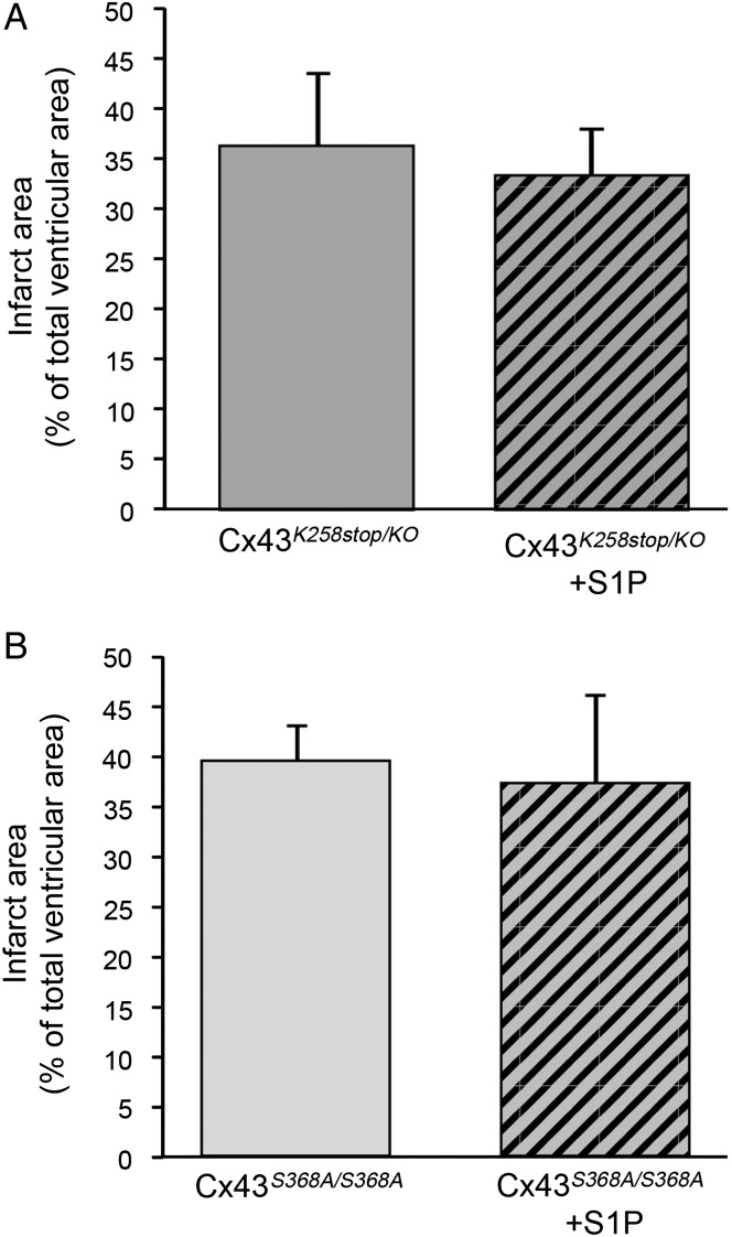 Figure 7