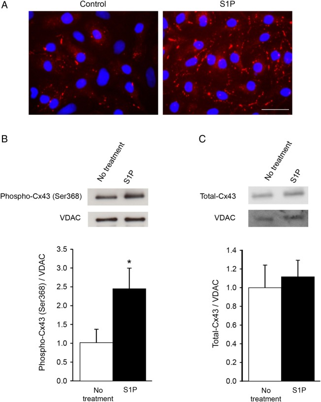 Figure 5