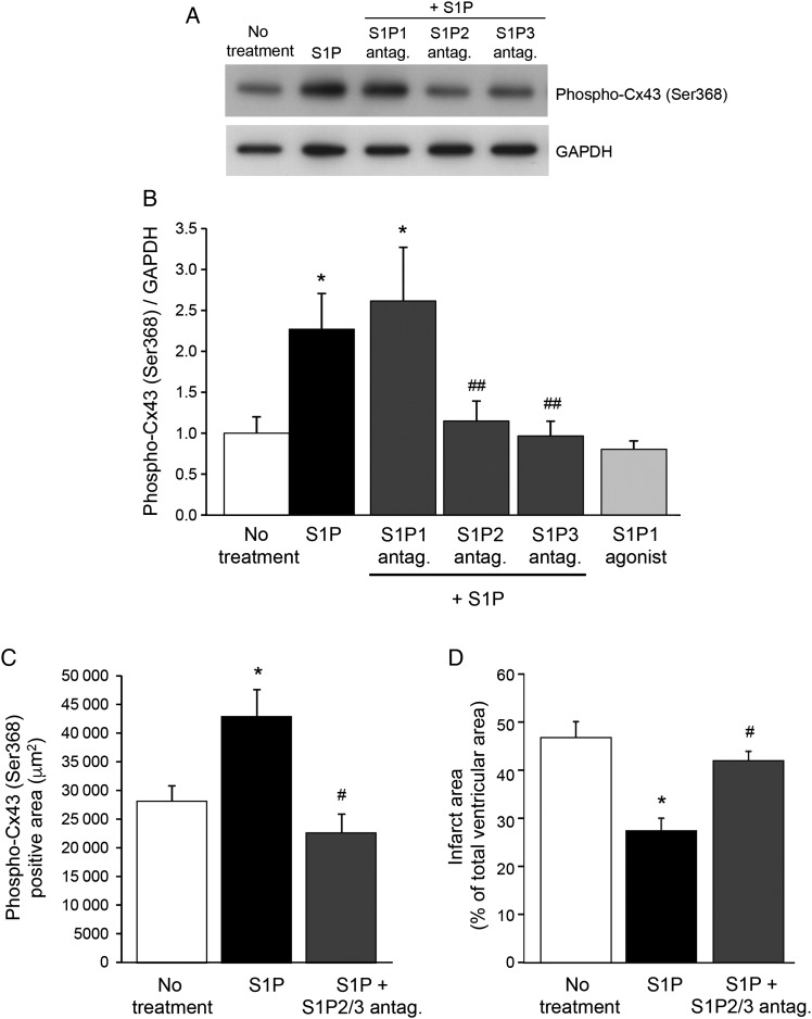 Figure 6