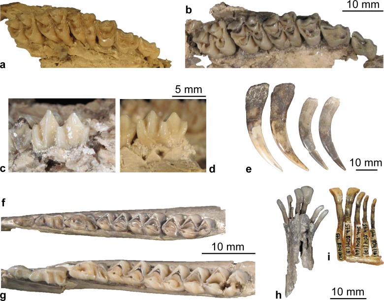 Fig 12