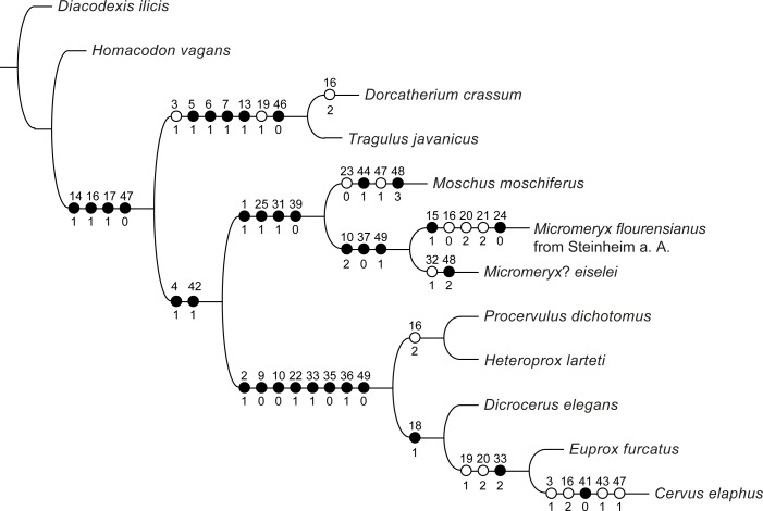 Fig 21