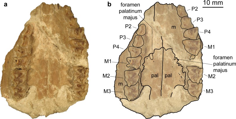 Fig 10