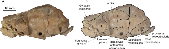 Fig 5