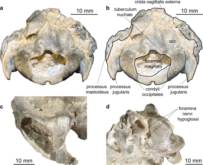 Fig 16