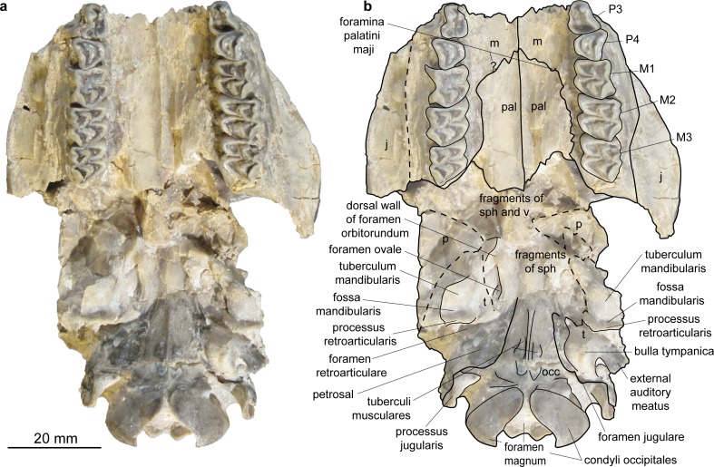 Fig 13