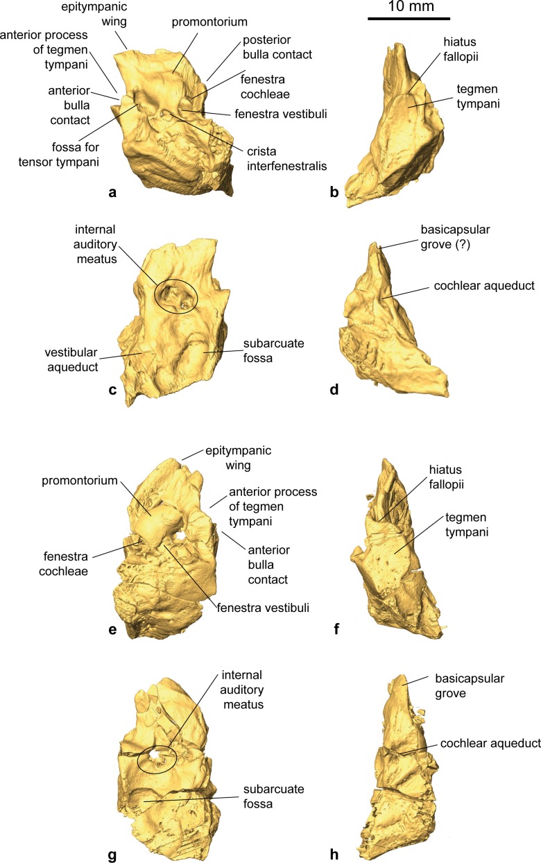 Fig 19