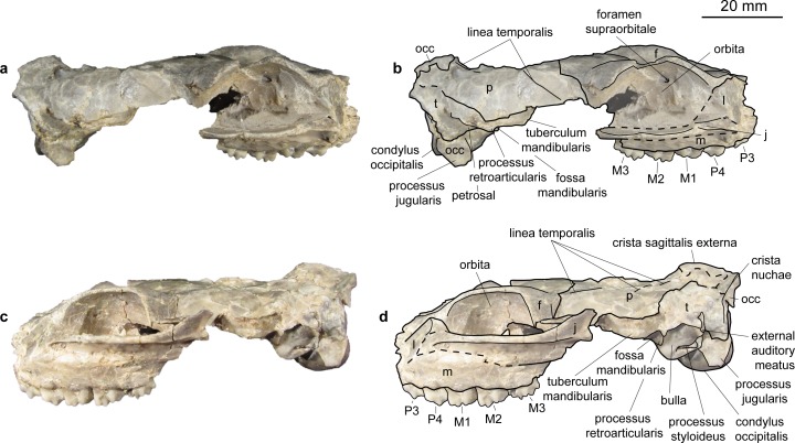 Fig 15