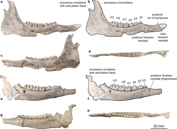 Fig 11