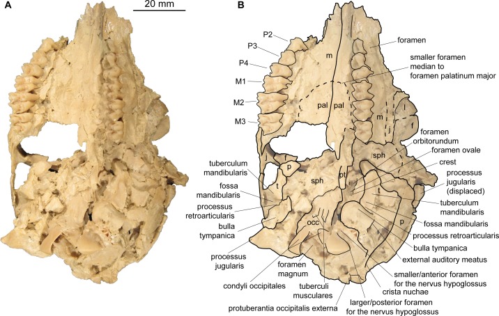 Fig 3