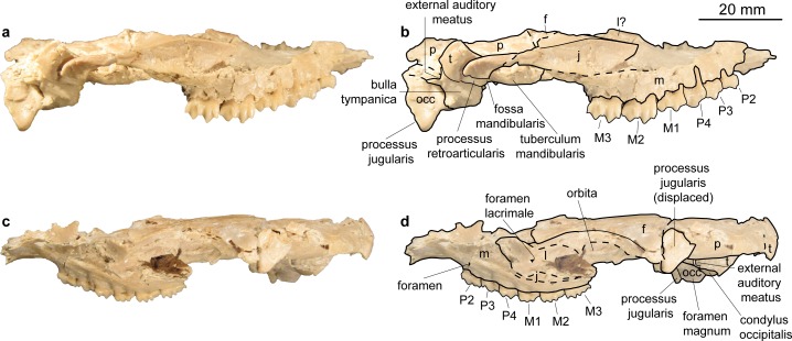 Fig 4