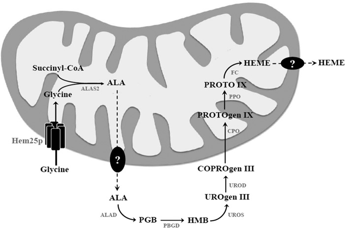 FIGURE 10.