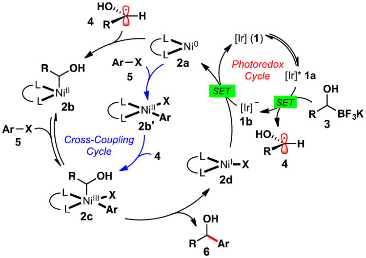 Scheme 1