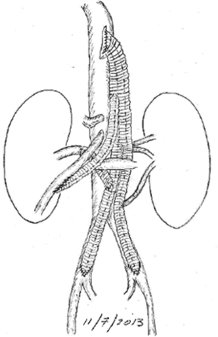 Fig 3