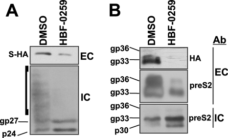 FIG. 5.