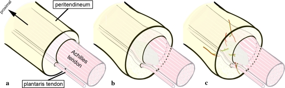 Fig. 1