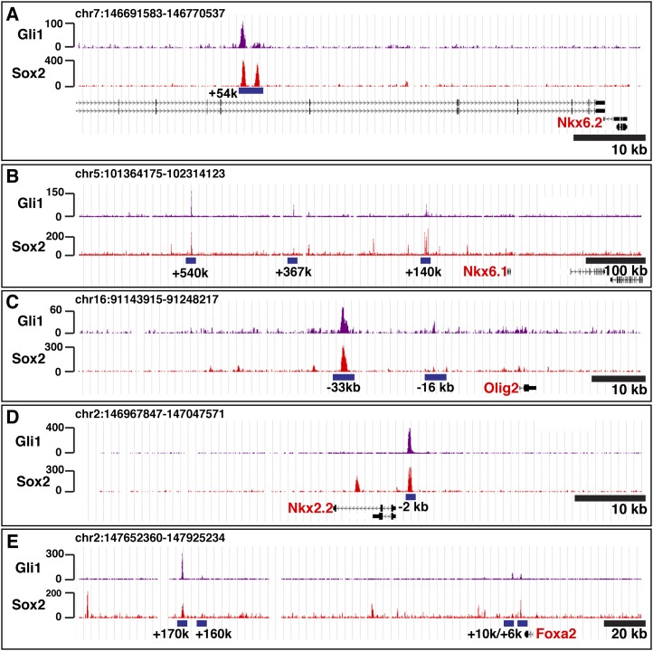 Figure 3.