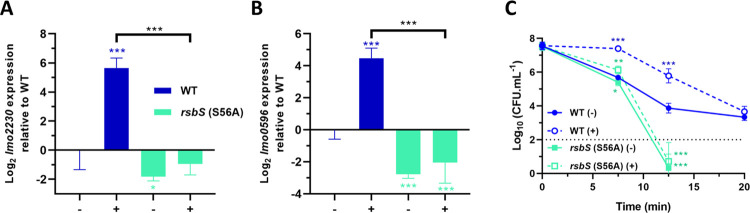 Fig 5