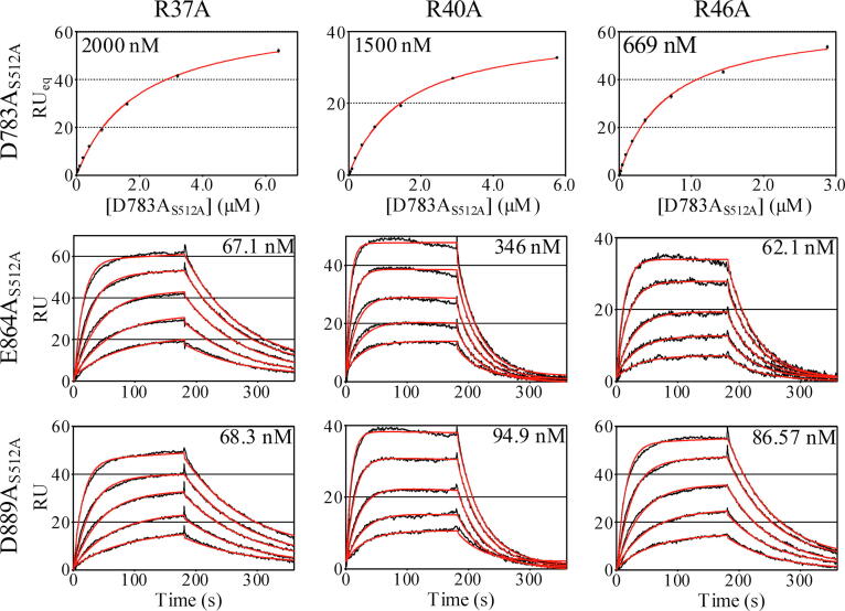 Supplementary figure 5